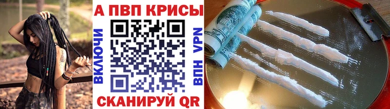 A PVP крисы CK Сухиничи