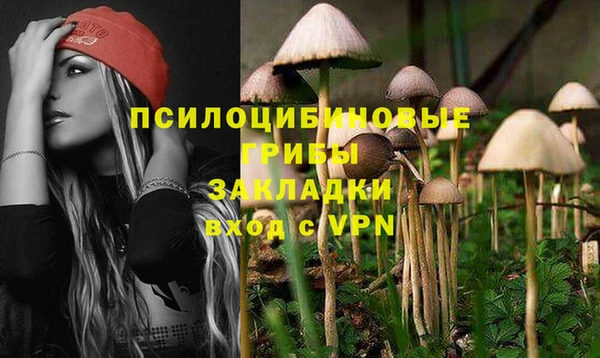 индика Абинск