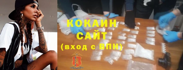 прущий лед Алзамай