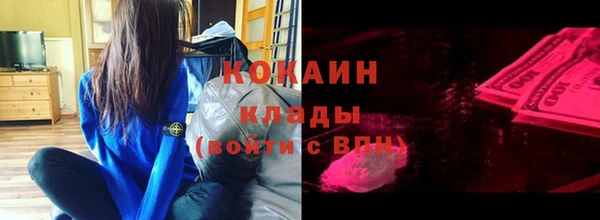 прущий лед Алзамай