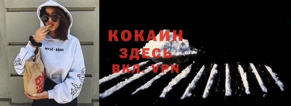 прущий лед Алзамай