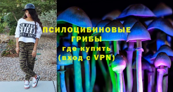 прущий лед Алзамай